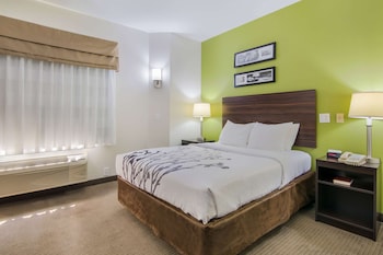 Room, 1 Queen Bed, Accessible, Non Smoking