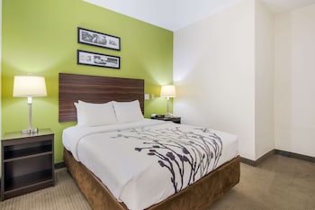Room, 1 Queen Bed, Accessible, Non Smoking
