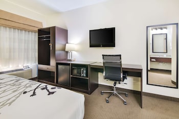 Room, 1 Queen Bed, Accessible, Non Smoking