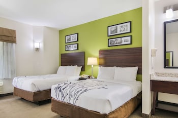 Standard Double Room, 2 Double Beds, Non Smoking