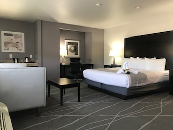 Standard Apartment, 1 King Bed