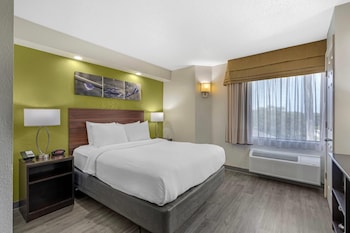 Room, 1 Double Bed, Accessible, Non Smoking