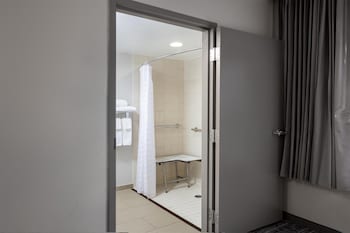 Room, 1 King Bed with Sofa bed, Accessible (Roll-In Shower)