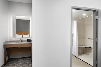 Room, 1 King Bed with Sofa bed, Accessible (Roll-In Shower)