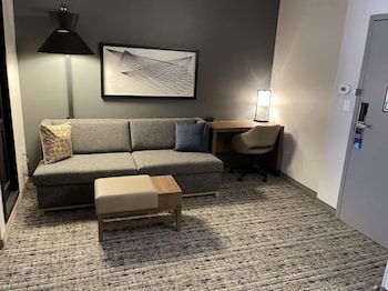 Room, 1 King Bed with Sofa bed, Mountain View