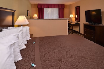 Suite, 1 King Bed, Non Smoking, Refrigerator & Microwave