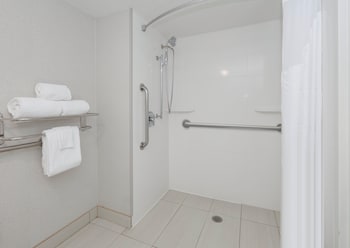 Suite, 1 King Bed, Accessible (Mobility, Roll-In Shower)