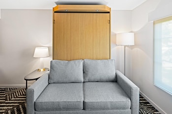 Suite, 1 Bedroom (King and Murphy Bed)