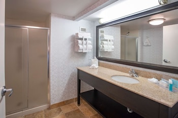 One King One Bedroom Suite Nonsmoking