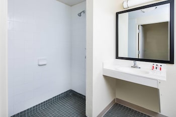 Room, 1 King Bed, Mobility Accessible, Non Smoking (Roll-in Shower)