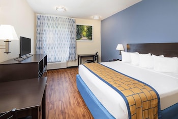 Room, 1 King Bed, Mobility Accessible, Non Smoking (Roll-in Shower)