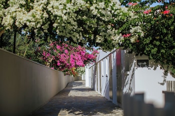 Standard Room, Garden View